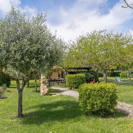 Alloggio per agriturismo Il Girasole - Ginestra Venturina Terme