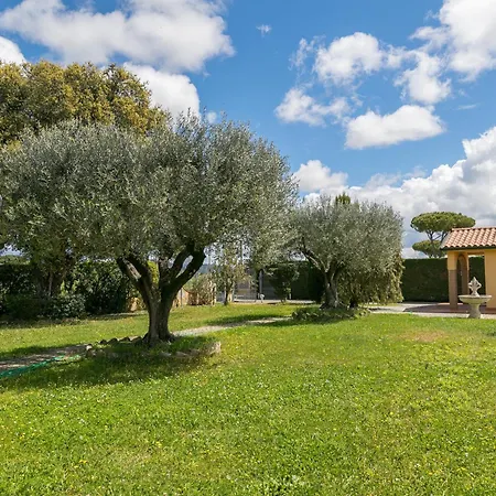 Il Girasole - Ginestra * Venturina Terme
